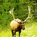 Banff, Canada 2012