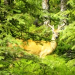 Banff, Canada 2012